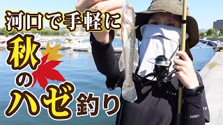 河口で気軽に秋のハゼ釣り！