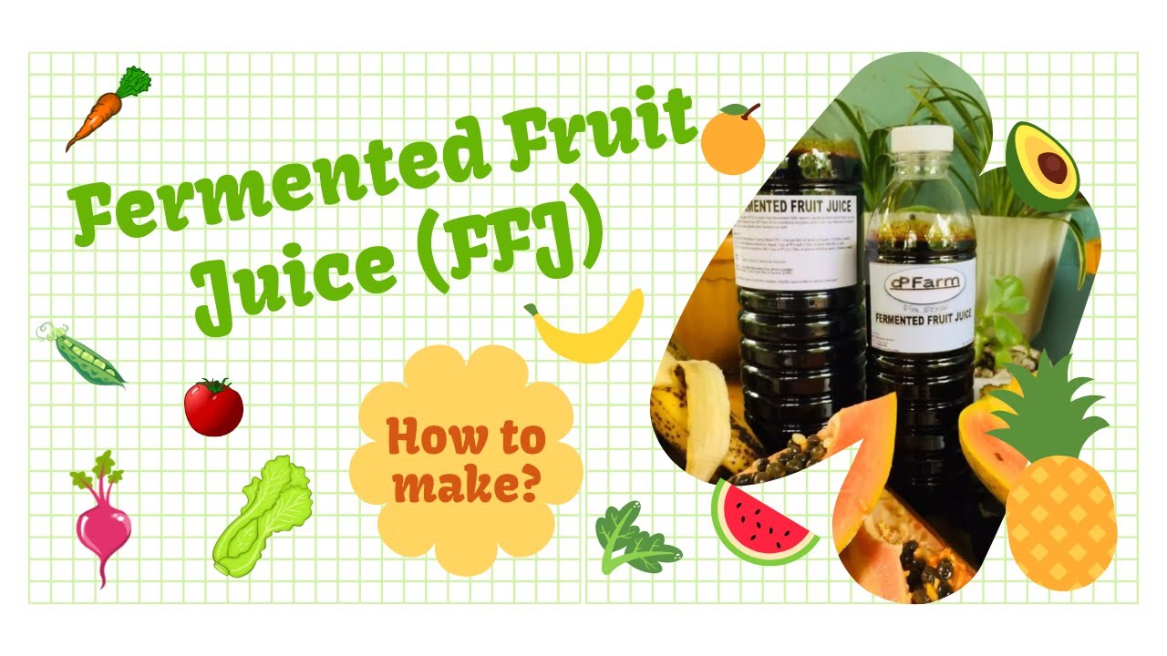 How To Make Fermented Fruit Juice Ffj Youtube