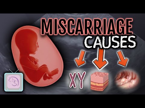 What tests are done after 2 miscarriages?