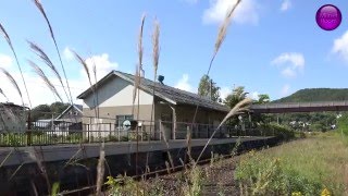 【4K】北海道夕張市・無人駅・JR鹿ノ谷駅の風景 ／JR Hokkaido Shikanotani station