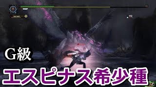 【MHFZ】G級　エスピナス希少種　ハンマーソロ