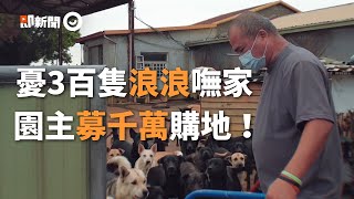 狗園被地主收回「3百浪浪嘸家」　流氓藥師賣獎座協助購地｜動物｜流浪狗｜捐贈