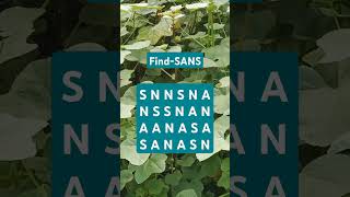 Observation Visual Test: 5 Seconds ForYou To Spot SANS. Try Your Skills! #search #puzzle #shorts