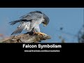 Falcon Symbolism