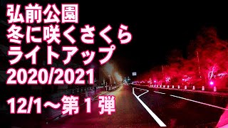 2020.12.1 冬に咲くさくらライトアップ　弘前公園外濠 ライトアップ＆追手門広場 イルミネーションをドライブ