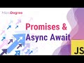 JavaScript Crash Course for Beginners : Promises & Async Await using Fetch API | MicroDegree