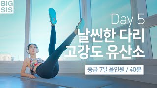 중급 Day 5 - 7일 홈트 챌린지 - 올인원 운동 / 다리운동 + 유산소운동 (40분)