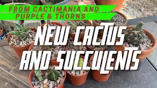 Unboxing New Cactus and Succulent Plants (from #Cactimania and #Purpleandthorns