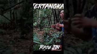 orang sakti tangkap Ratu Jin 😰