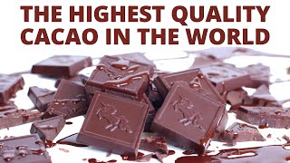 The Highest Quality Cacao in the World