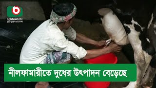 নীলফামারীতে দুধের উৎপাদন বেড়েছে