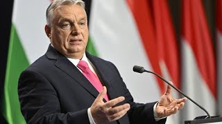Орбан принял приглашение Зеленского