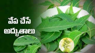 vepa valla labalu | profits of neem in telugu | వేప యొక్క లాభాలు|| mana palle ayurvedam||