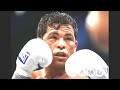 arturo gatti hl the best