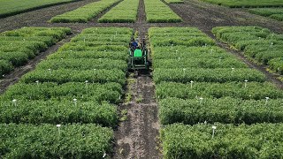 How We're Solving Interesting Problems on Farms