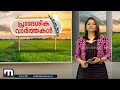 ഇടുക്കിയിൽ കാട്ടാനയുടെ പരാക്രമം വ്യാപക കൃഷി നാശം idukki wild elephant