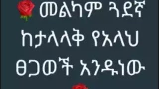 መልካም ጓዴኛ ከታላላቅ  የአላህ  ጸጋዎች  አንዱ ነዉ ።