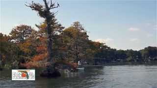 Scenic Boat Tour at Winter Park Florida