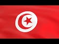 Flag of Tunisia waving in the wind - Flag animation - Motion background - 4K UHD