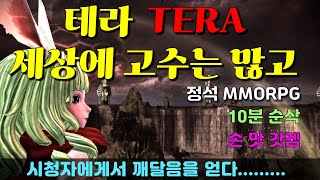 TERA 테라 / 시청자에게 참교육 당함. 마이 뭇다 아이가   #테라 #온라인게임 #MMORPG