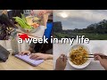 Life In Singapore 🍳🧽💻| 8-5 Wfh, Making Okonomiyaki,dishwasher,overnight Oats #singapore #wfh #vlog
