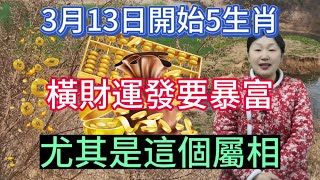 3月13日開始！這5大生肖要暴富！運勢飆漲！鴻運當頭！霉運散好運來！橫財一發再發！財源廣進！大喜大福發大財！日子越來越紅火！尤其是這個屬相！最有可能一夜暴富！#運勢 #2024 #生肖