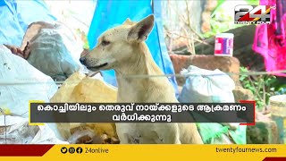 കൊച്ചിയിൽ തെരുവ് നായ ശല്യം രൂക്ഷം|സെപ്റ്റംബറിൽ മാത്രം 39 പേർക്കാണ് തെരുവ് നായയുടെ കടിയേറ്റത്