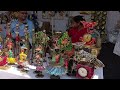 🔴hyderabad 17th grand nursery mela necklace road horticulture and agriculture rare exotic plants