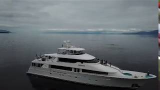 Charter Yacht SERENGETI Cruising Amongst Whales In Alaska