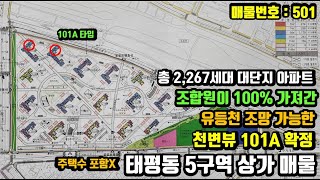 [501] 2,267세대 대단지, 화려한 커뮤니티, 조합원 100%배정된 101A타입,  주택수 포함 안되는 태평동 5구역 근생건물