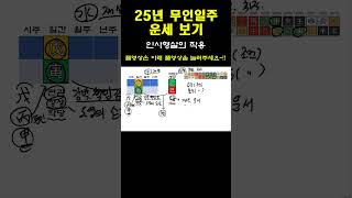 2025년 을사乙巳년 무인일주 운세_인사형살의 작용