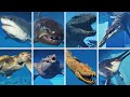 ALL AQUATIC CREATURES - Jurassic World Evolution 2