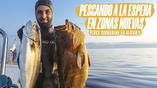 🔱Pesca submarina en ALICANTE. Aprendiendo a pescar. Ep.8 (MÁS ZONAS NUEVAS✅)