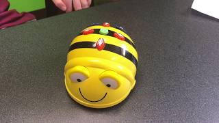 BeeBot Intro