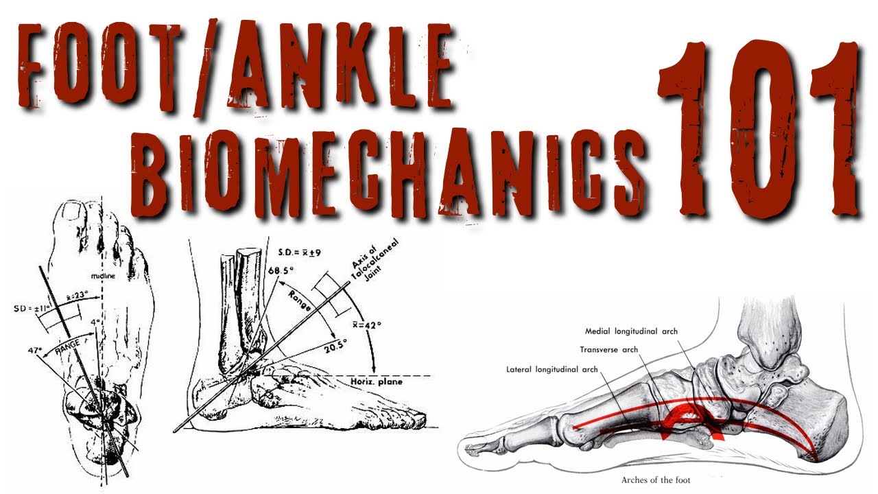 Foot/Ankle Biomechanics 101 - YouTube