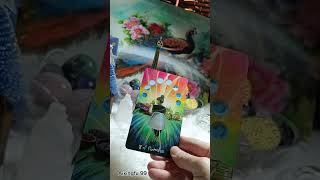 Random ใครที่กำลังแอบสนใจคุณอยู่? #tarot #aixingfu99 #tarotreading #tarotreader