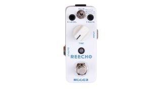 Mooer Reecho Video Test