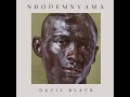 Ndodemnyama (Black Coffee & Samthing Soweto Cover)