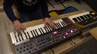 Sequential Prophet 6 / Moog Subsequent duo - UTOPIA