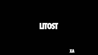 X Ambassadors - Litost (Snippet)