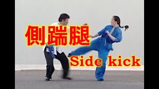 宋麗先生　Chinese Kung-Fu  CHUAI-TUI (side kick) 侧 踹 腿