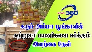 கரூர் அம்மா பூங்காவில் சுற்றுலா பயணிகளை ஈர்க்கும் இயற்கை தேன் |News360