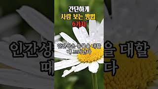 🌿 사람보는 방법 6가지 #인성 #동기부여 #인생조언