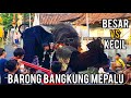 BARONG BANGKUNG ADU MEKANIK BESAR VS KECIL 2024