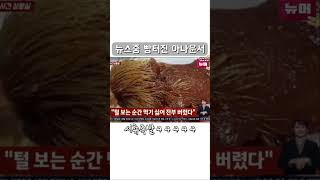 시츄족발에 빵터진 여자아나운서ㅋㅋㅋㅋㅋ