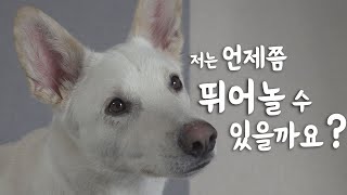 [블랙박스] 저희 이야기를 들어주세요