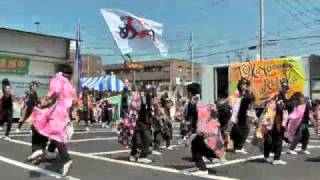 YOSAKOIかまがや2010 （朝霞鳴子一族め組）－踊人～踏み鳴らせ祭囃子