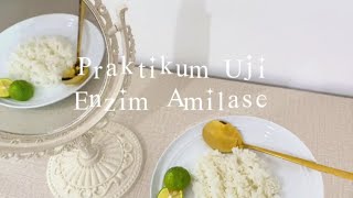 Mengapa nasi putih terasa manis? Mengapa nasi terasa masam? |Praktikum Metabolisme Enzim Amilase XII