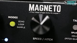 Strymon Magneto Eurorack 4 Head Tape Delay \u0026 Spring Reverb