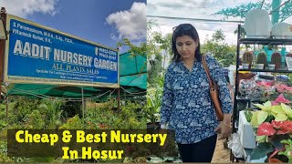 Best Nursery in Hosur | Best nursery near Bangalore | Cheapest Plants | AADIT NURSERY GARDEN HOSUR